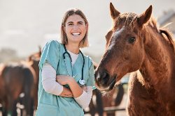 farm vet accounting