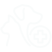 Coins Icon