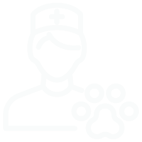 Brain Icon