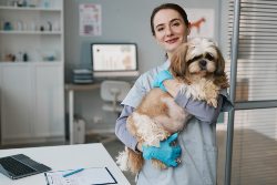 veterinary practice formation Spokane Valley